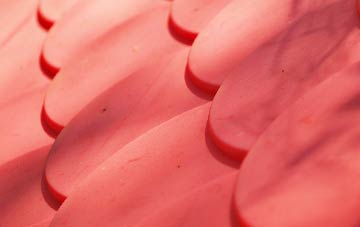 Langley Marsh plastic roof costs